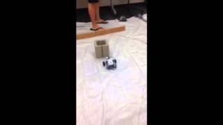 LEGO NXT robot- Discover Engineering 2014