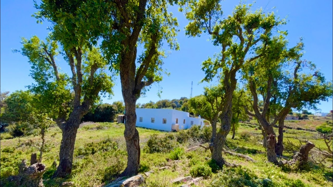 دار وغرسة راءعة مساحة جوج هكتار فيا البير وكوري0703640826نواحي القصر الصغير