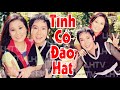 Cải Lương Tình Cô Đào Hát - Vũ Linh, Tài Linh, Diệp Lan