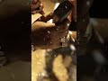 Diamond tester video wit RockkcustomzTv 🥶  #Diamondtester