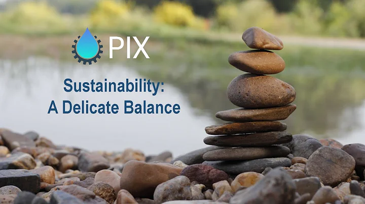 PIX Roundtable:  Sustainability:  A Delicate Balance