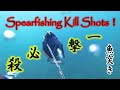 魚キルショットの瞬間【魚突き】KILL SHOTS!