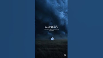 أفأنت تهدي العمي ولو كانوا لا يبصرون | القارئ عبد الرحمن مسعد #قرآن #القرآن_الكريم