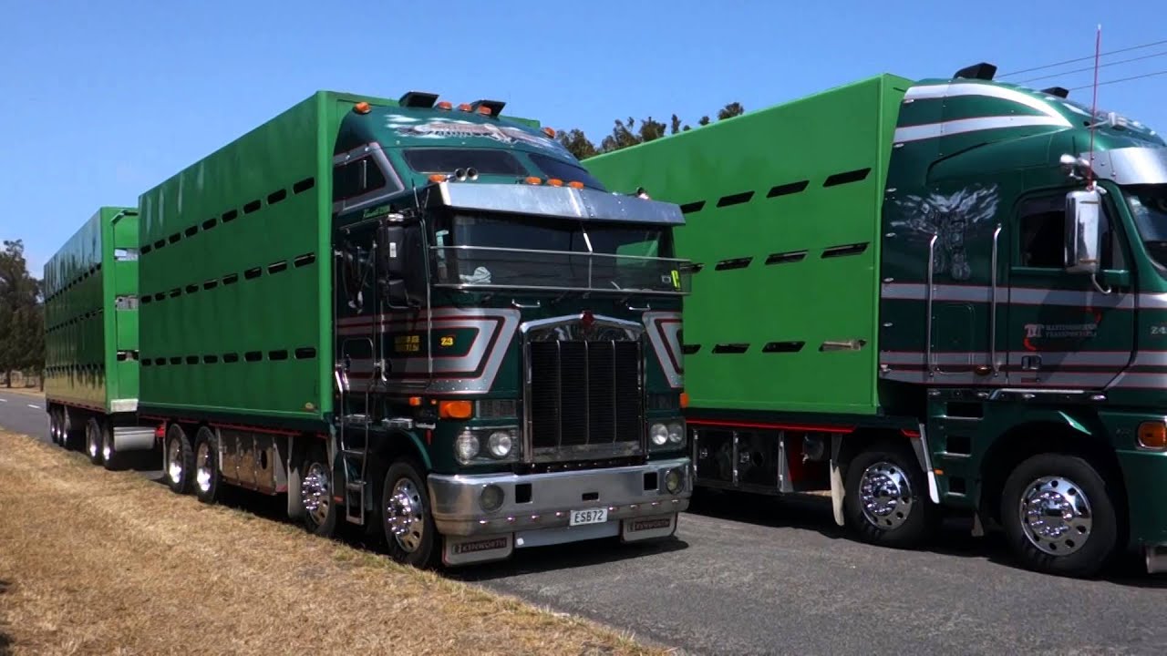 Martinborough Transport 3 Truck Photoshoot  YouTube