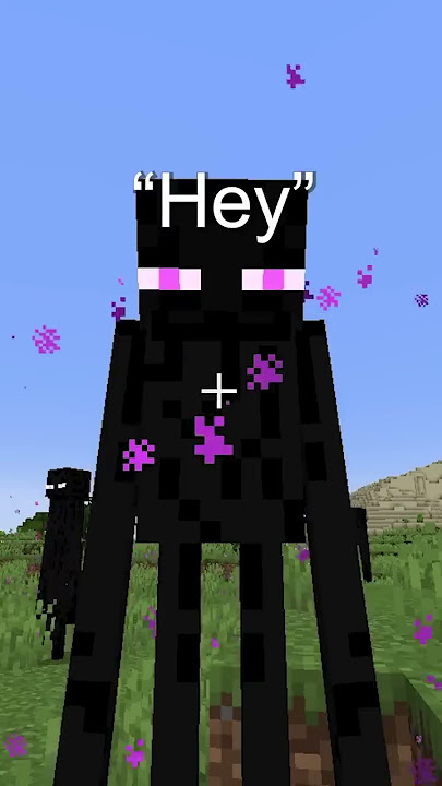 Why You Can't Look at Enderman...