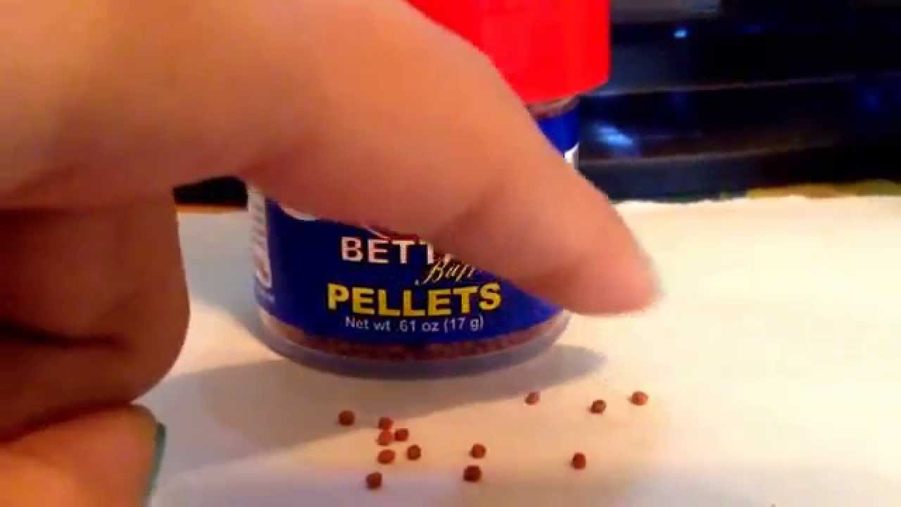 omega one betta buffet pellets