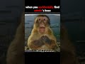 Do not check Camman18 NotVixios DrDonut Prism Sound Plz #minecraft #trending #memes #shorts #foryou