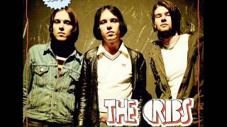 The Cribs - Hey Scenesters