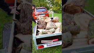 Remorca 750 Kg Abuzata Si Reutilizata Änger