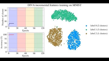 DIVA: A Dirichlet Process Based Incremental Deep Clustering Algorithm via Variational Auto-Encoder