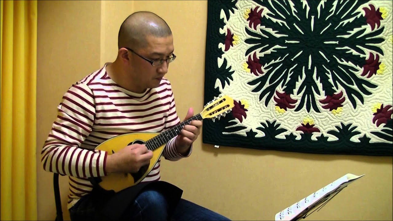 TYPE Ⅳ | NOGUCHI MANDOLIN｜野口マンドリン