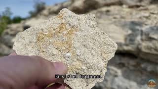 The First Rock Had a Fossil In It! #geology