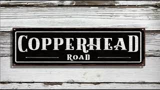 STEVE EARLE * Copperhead Road  1988   HQ