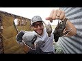 Hunting Invasive Species Grand Slam!! (Hunt Brine Grill)