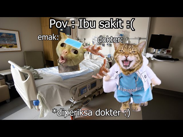 Pov : ibu sakit :( | meme kucing 🤣 31 class=