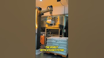 The Robot with vision system 😎 #palletizer #palletizingrobot #robotics#automation #depalletizer