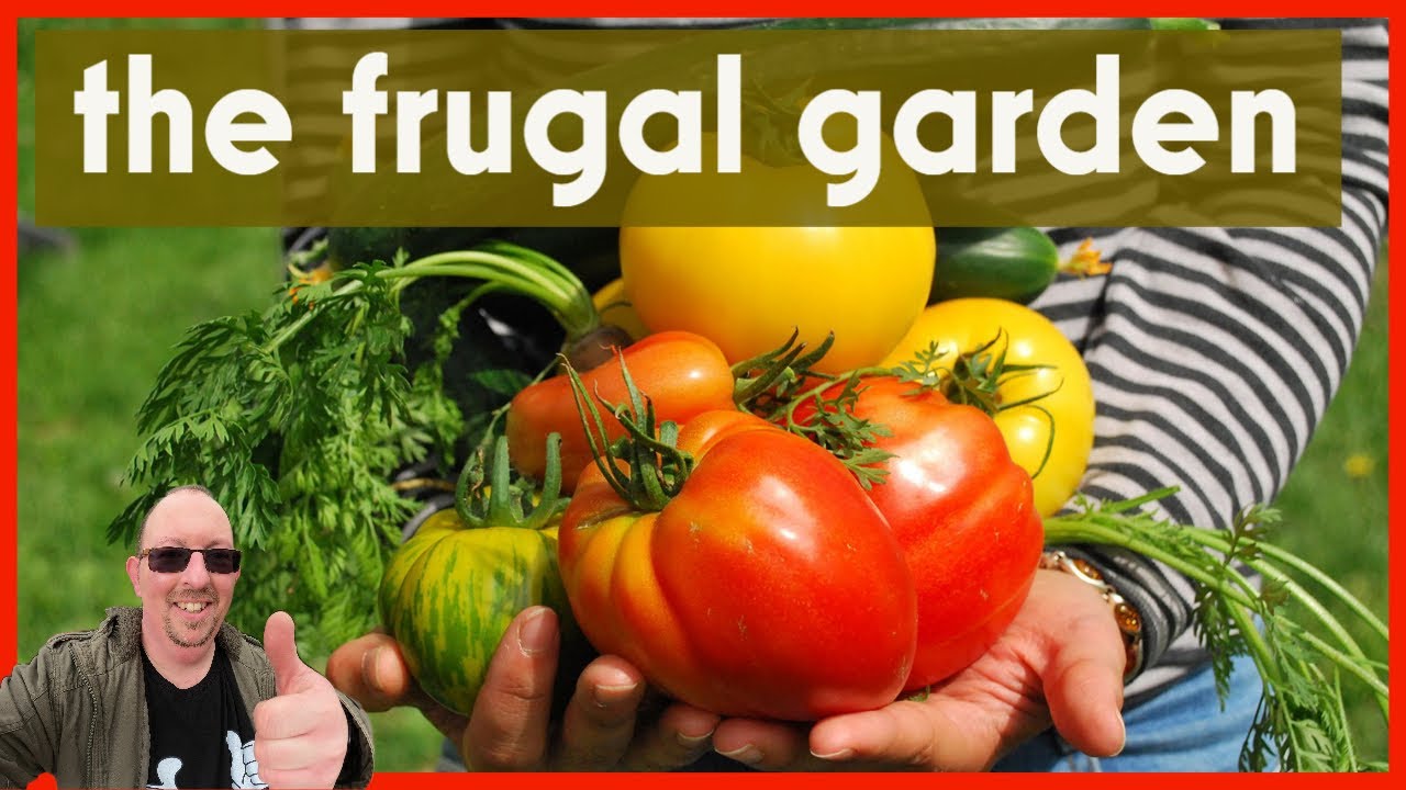the frugal garden - YouTube