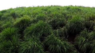 Драка на острове Топорков