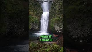 Oração dos salmos 51