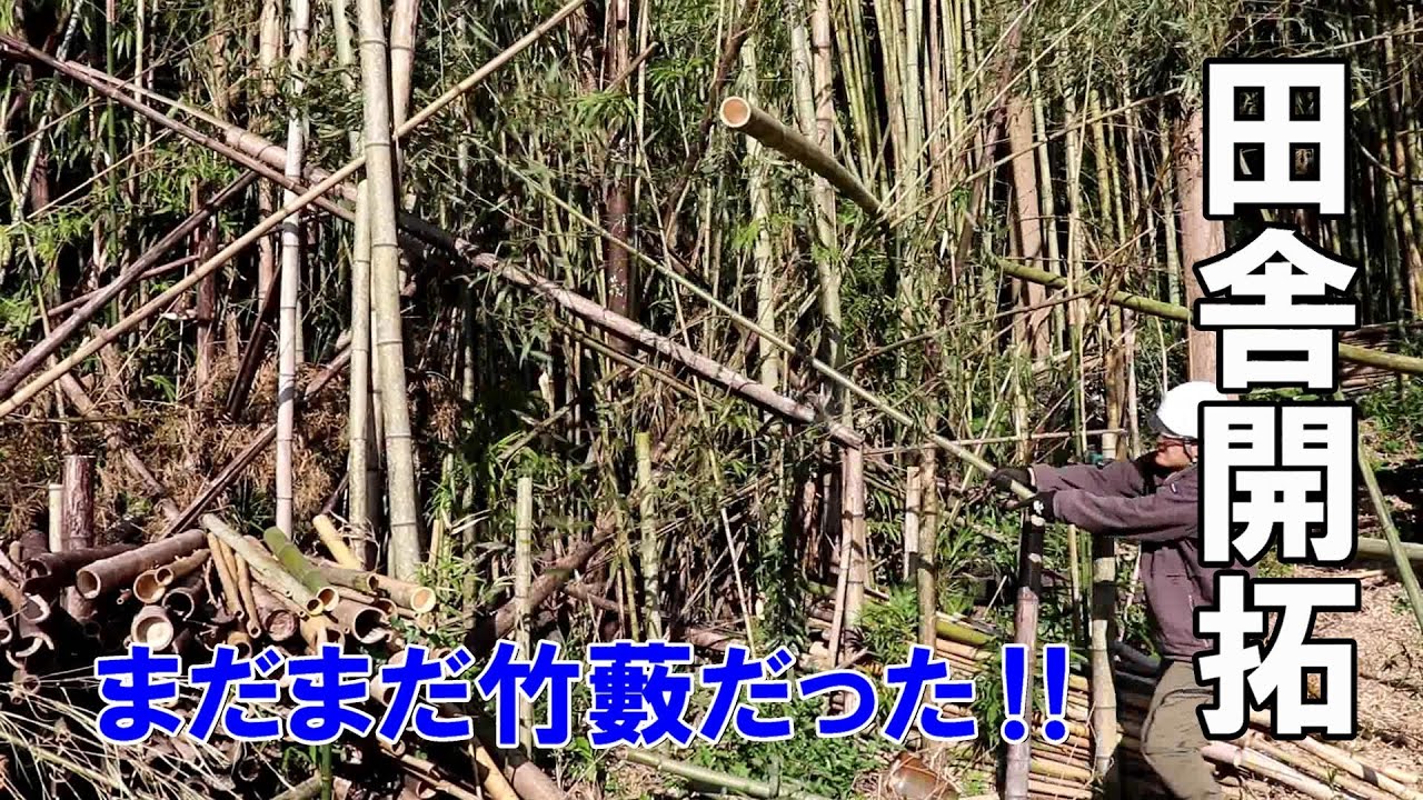 Episode 861 | Attack with bamboo from the ruins side! - YouTube