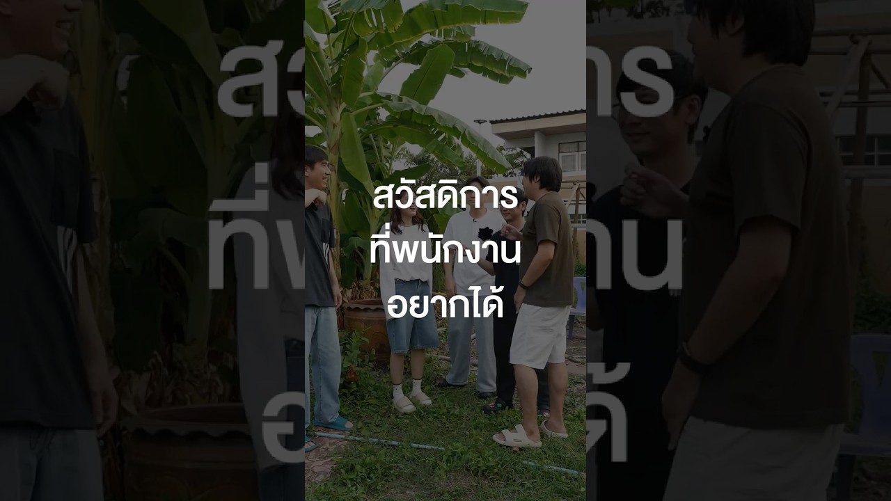 สวัสดิการที่พนักงานอยากได้ #เสือร้องไห้ #TigerShorts #Shorts #ออฟฟิศเสือร้องไห้