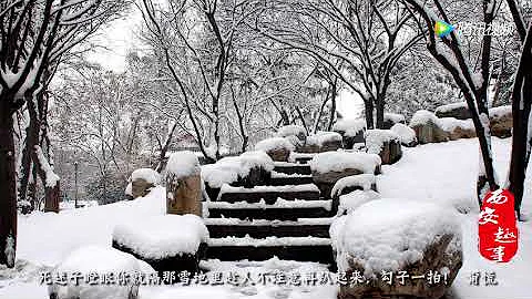 西安乡党，我们不是讹人，而是雪天路滑 - 天天要闻