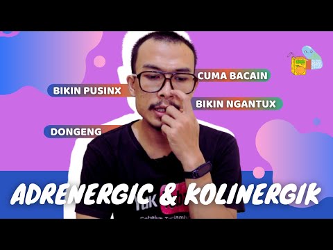 Video: Adakah adrenergik dan antikolinergik sama?