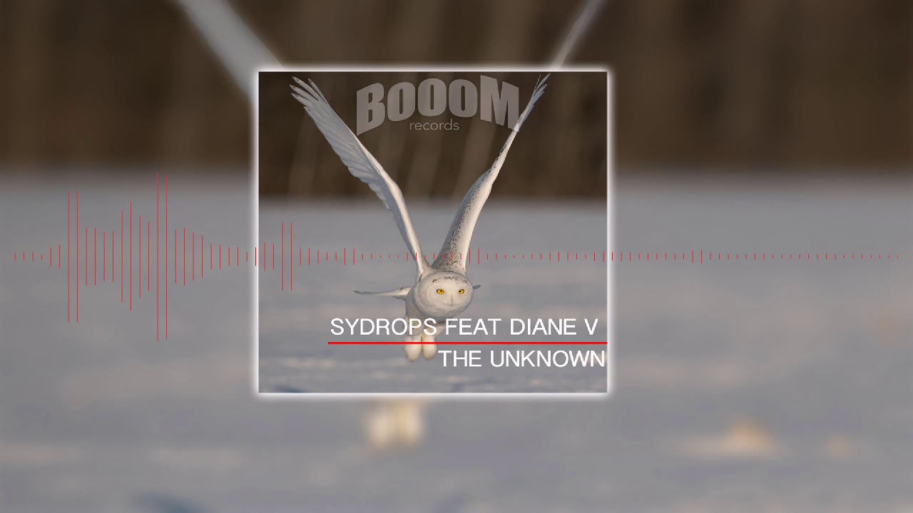 SYDROPS feat. DIANE V - THE UNKNOW (Teaser) [BOR039]
