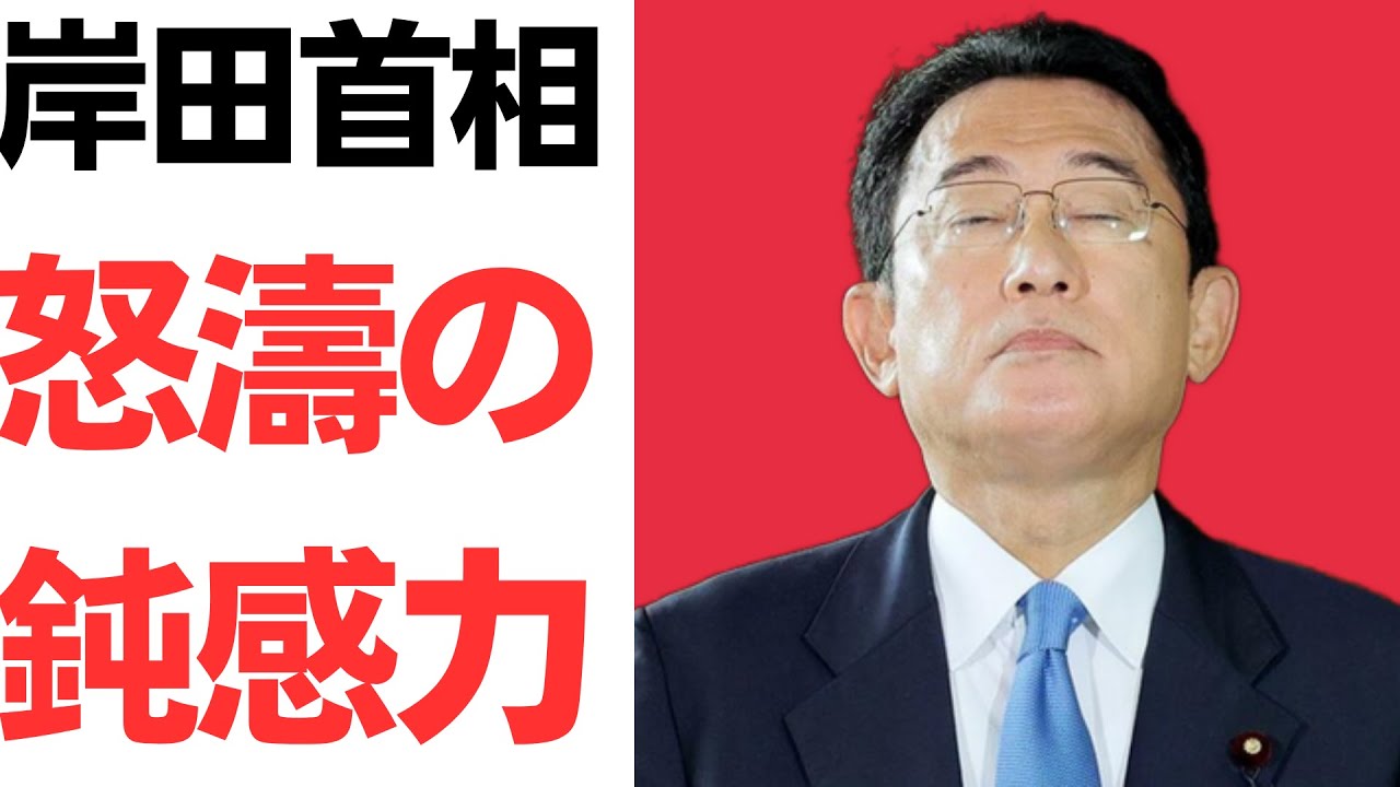 【愚鈍】減税ウソメガネ岸田首相・怒濤の鈍感力に国民ブチギレ！【減税やるやる詐欺】を扱う動画のサムネイル