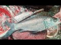 🔴 Giant Fish Cutting LIVE 😱🐟 | Big Catla &amp; Pangasius Cutting | Real Market Action