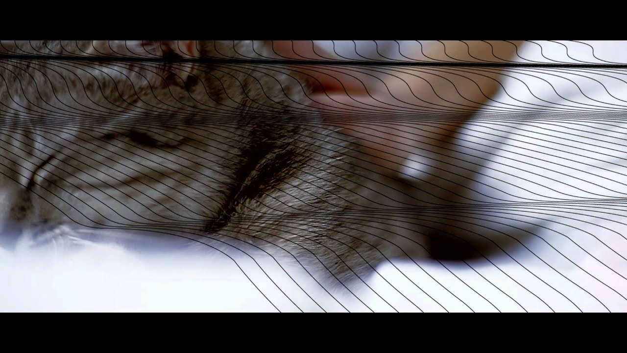 Silent Strike - Simtetizator