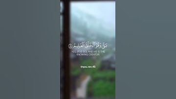 ﴿أوليس الذي خلق السماوات والأرض...﴾ تلاوة خاشعة للقارئ الشيخ ماهر المعيقلي🍁