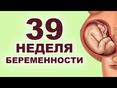 Что происходит с ребёнком и мамой на 39 неделе беременности? 9 месяц беременности. Третий триместр.