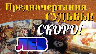 ЛЕВ 💯 СКОРО Предначертания СУДЬБЫ Какие События ВОРВУТСЯ в вашу жизнь Таро Расклад