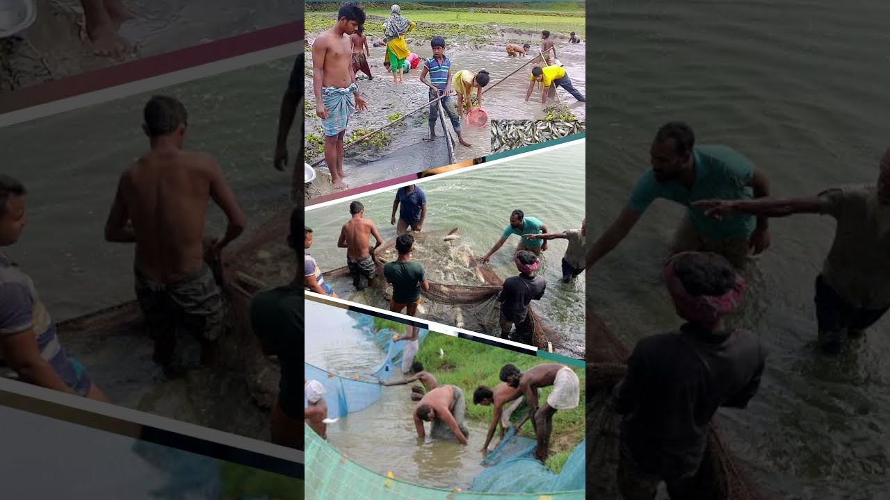 Impact of Learning | Team work | Wasee team 360 