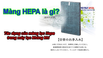 Màng lọc hepa là gì? Tác dụng của màng lọc Hepa trong máy lọc không khi - Shop An Gia