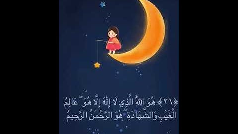 أواخر سورة الحشر | أرح سمعگ 🎧🎤🕊😴 | القارئ | شريف مصطفى | 🍂