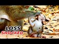 SHOCKED & LOSS !! DITO VERY SCARE HAND MOMMY STEAL FOOD / DAISY BAD ACT EAT FOOD HER BABY