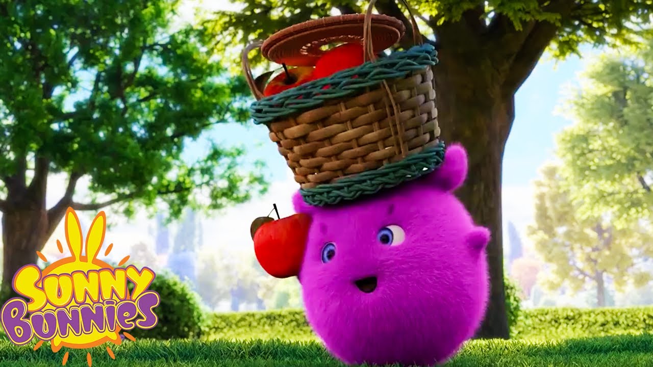 SUNNY BUNNIES - Collecting Apples | Season 5 | Cartoons for Children