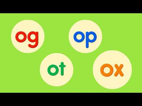 Phonics Chant┃og · op · ot · ox ∥ Short Vowels┃Spotlight on One Phonics