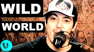 CAT STEVENS COVER | (Wild World Acoustic Cover) | Indie Folk 2020 [by Alt Pop artist Yusif]