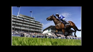 Epsom Derby: Complete guide and latest odds on the runners and riders Profile