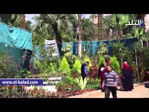 صدى البلد زهورمعرض الربيع بالأورمان تشمل اصناف نادرة من النباتات