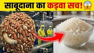 साबूदाना कैसे बनता है | फैक्ट्री का कड़वा सच 😱