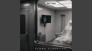 Flesh Algorithm