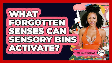 What Forgotten Senses Can Sensory Bins Activate? - Your Crafty Classroom