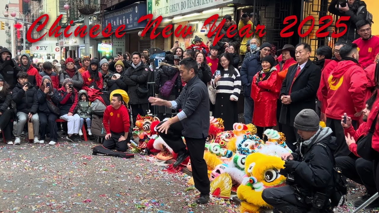 Jook Lum Southern Praying Mantis Form performed by Sifu Phillip Le (Chinatown, NYC - 2-8-25)