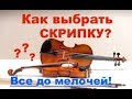 Как выбрать скрипку? До мелочей! Бренды! Важно знать!!!