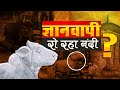 काशी विश्वनाथ मंदिर व ज्ञानवापी मस्जिद की पड़ताल | Kashi Vishwanath Temple Controversy