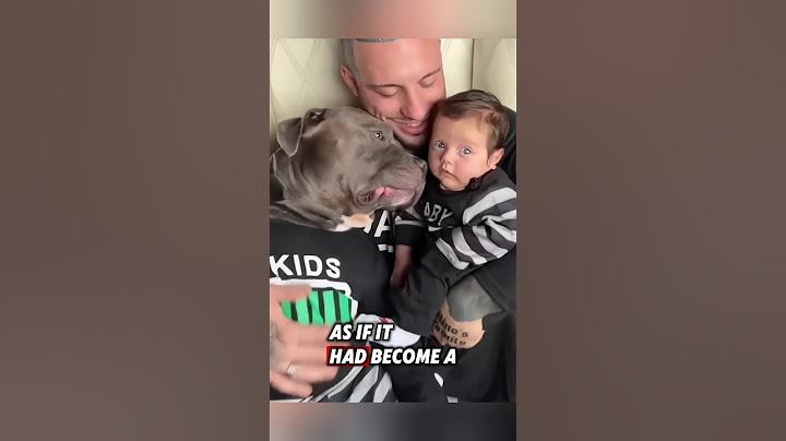The kind man adopted an abandoned dog, and then this happened... #rescue #dog